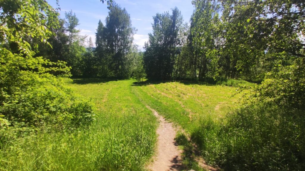 Wydeptali sobie ścieżkę