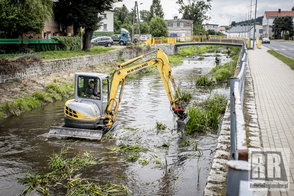 Porządki na rzece Zadrna