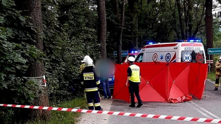 Uwaga wypadek! Droga zablokowana w Leszczyńcu w obu kierunkach! Objazd przed Miszkowice.