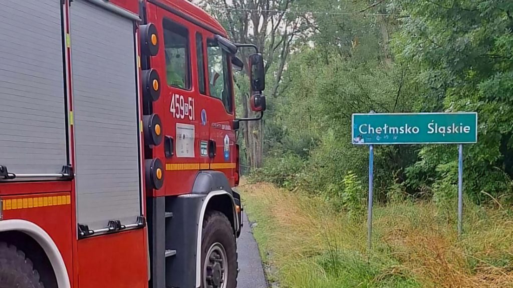 Silne opady deszczu, burza, wiatr, nawet do 100 km/h. Interweniowali strażacy. Pracują energetycy.