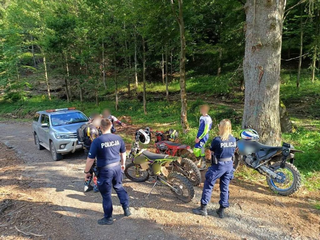 Po 1000 zł mandatu za jazdę po lesie.