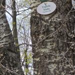 Zaglądamy na Piaskową Górę w Wałbrzychu