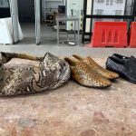 Zanim kupisz egzotyczną pamiątkę — pomyśl. Za buty ze skóry pytona można trafić do więzienia