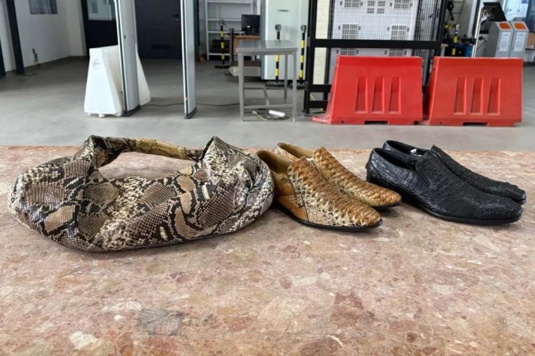 Zanim kupisz egzotyczną pamiątkę — pomyśl. Za buty ze skóry pytona można trafić do więzienia