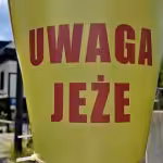 „Uwaga jeże” – niewielki znak, który może uratować życie