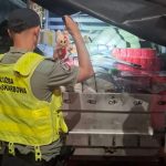 Podrobione maskotki nie trafią do rąk dzieci