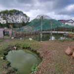 Zarzuty dla pięciu osób w sprawie ZOO Łączna. Prokuratura mówi o 561 zaniedbywanych zwierzętach