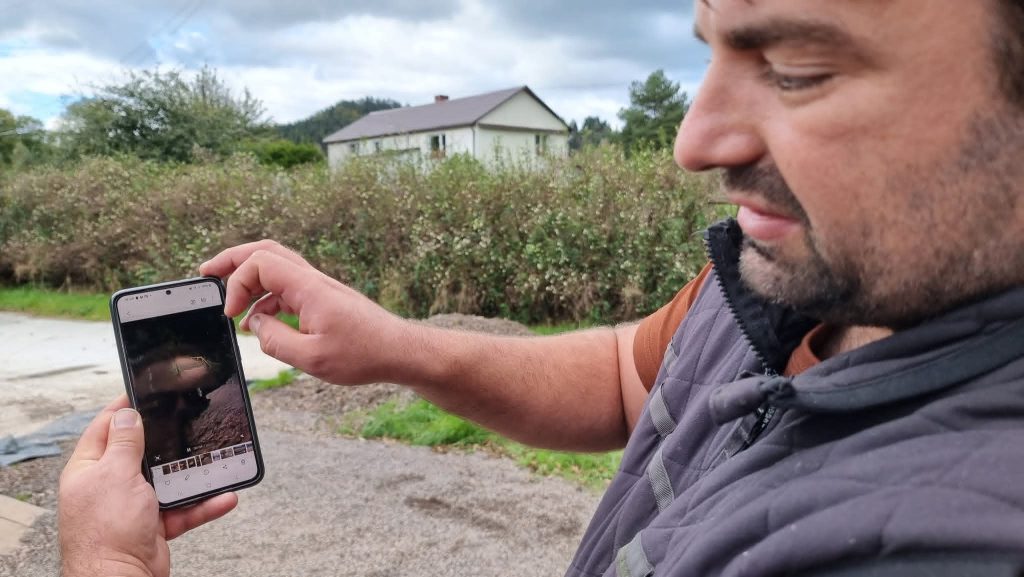Sąd zdecydował w sprawie dyrektora, służby monitorują sytuację zwierząt