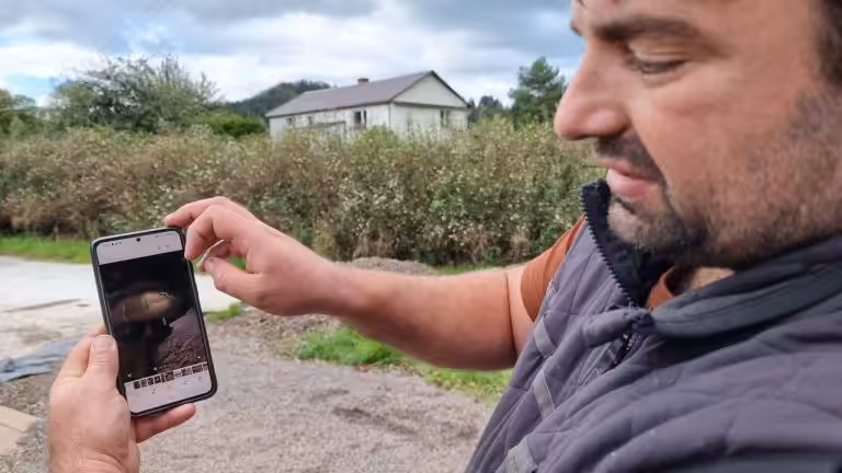 Sąd zdecydował w sprawie dyrektora, służby monitorują sytuację zwierząt