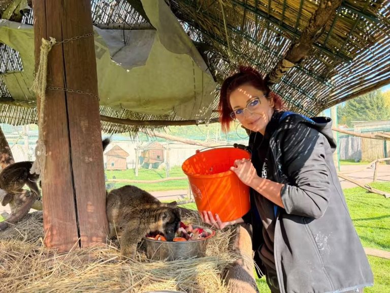 Zoo Łączna: pracownicy wrócili do zwierząt. Ogród nadal zamknięty