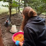 ZOO Łączna. Prokuratura analizuje wniosek burmistrza. Pełnomocniczka właściciela zaniepokojona sytuacją