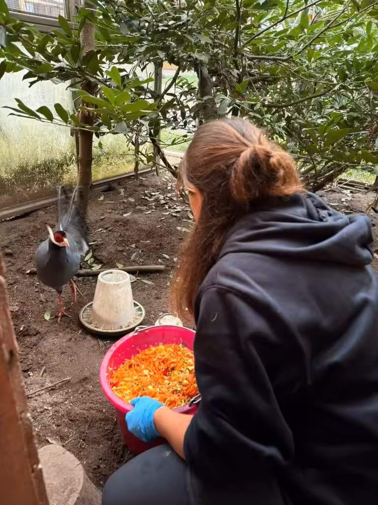 ZOO Łączna. Prokuratura analizuje wniosek burmistrza. Pełnomocniczka właściciela zaniepokojona sytuacją